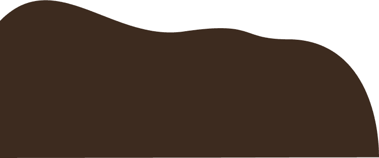 Main Banner caption